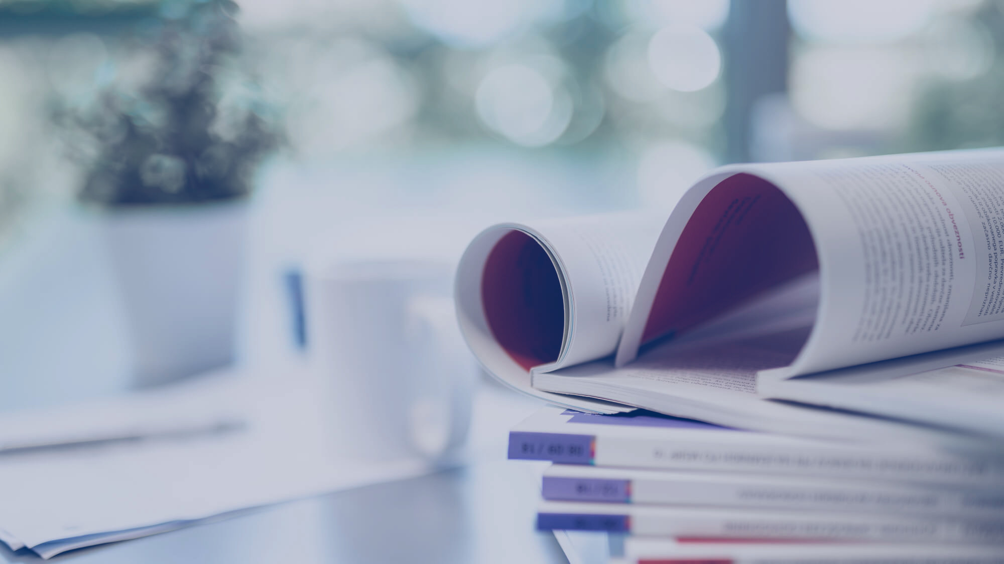 Taxa podjetje za računodovske storitve in dvačno svetovanje Ajdovščina